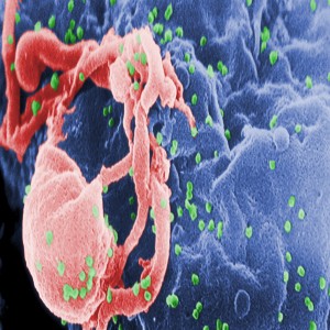 Global CRISPR Technology Market