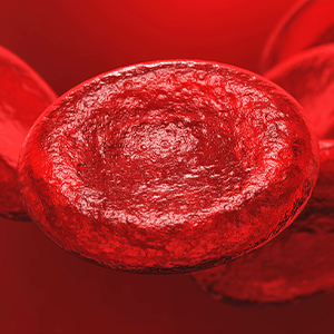 Blood Cells