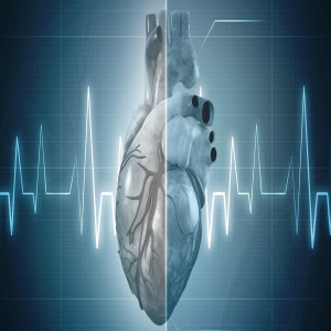 Cardiovascular Diseases
