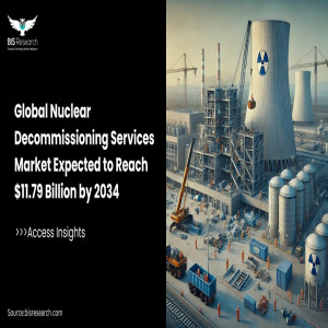 Nuclear Decommissioning Services Market Insights