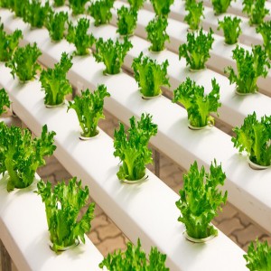 Aquaponics & Hydroponics Market