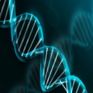Global liquid biopsy market