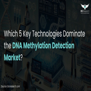 DNA Methylation Detection Market 