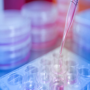 Precision Medicine