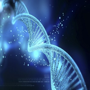 Global Precision Medicine Market
