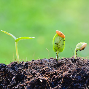 Agriculture Sensors Market