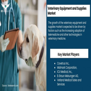 Global Veterinary Equipment and Supplies Market
