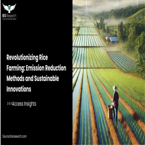 Revolutionizing Rice Farming- Emission Reduction Methods and Sustainable Innovations