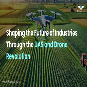 Shaping the Future of Industries Through the UAS and Drone Revolution