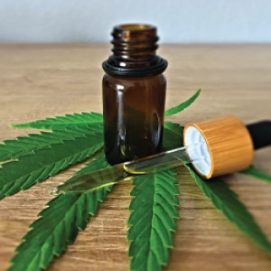 CBD-Infused Beverages Market