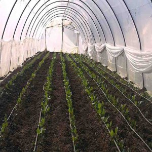 Agricultural films market 