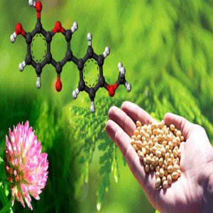 isoflavones market report