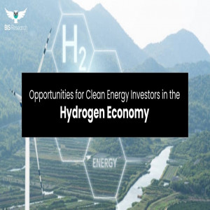 Clean Energy Investors in the Hydrogen Economy