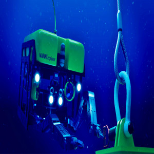 Inspection and Maintenance Robot Market