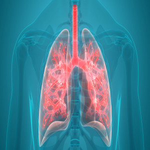 Digital Respiratory Devices Market