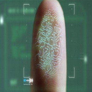 Global fingerprint sensor market