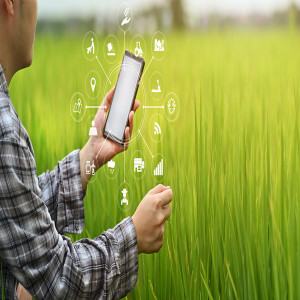 AR in Agriculture Market