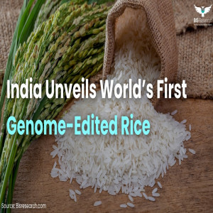 India Unveils World’s First Genome-Edited Rice