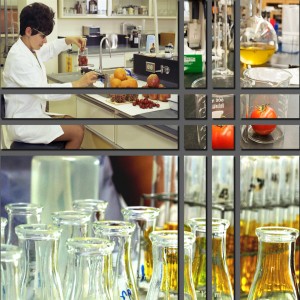 Global Food Safety Testing Market
