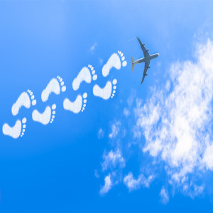 Reduce Aviation Carbon Emissions