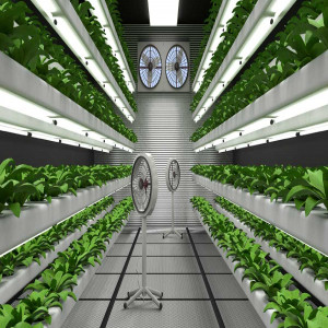 vertical farming research