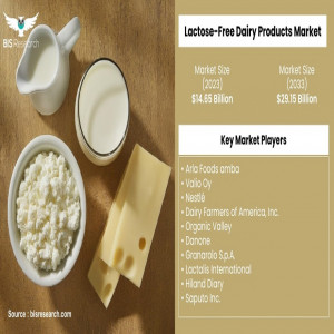 Global Lactose-Free Dairy Market: Projected $29.15B by 2033