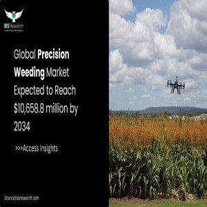 Precision Weeding Market