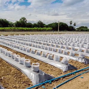 Fertigation and Chemigation Systems