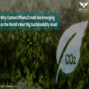 Carbon Offset/Credit Market