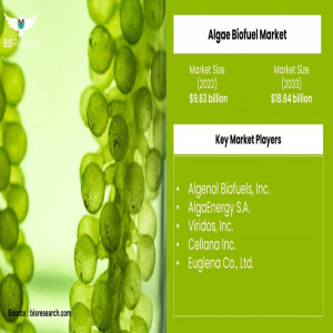 Unlocking Growth Opportunities in the Algae Biofuel Market