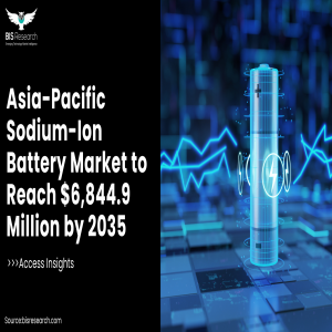 Asia-Pacific Sodium-Ion Battery Market 