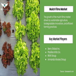 Navigating Mulch Films Market Trends