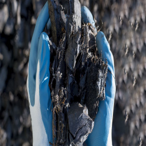 Black Mass Recycling