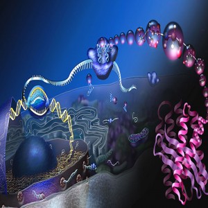 Cell Free DNA Market