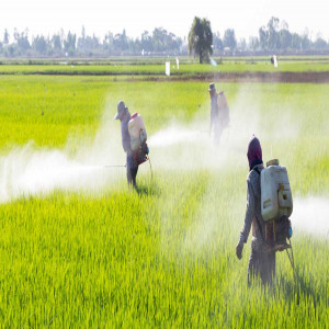Crop Protection using MedTech Innovation