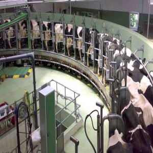 Global Livestock Monitoring Market