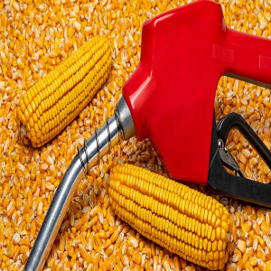 Sustainable Biofuels