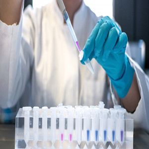 Nucleic Acid Isolation and Purification Market