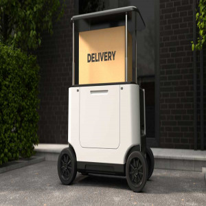 Last-mile delivery robots