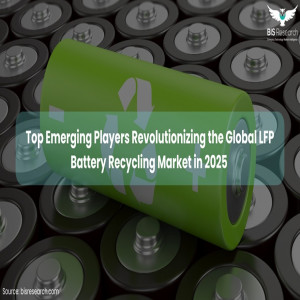 Top Emerging Players Revolutionizing the Global LFP Battery Recycling Market in 2025