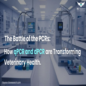 The Battle of the PCRs How qPCR and dPCR Are Transforming Veterinary Health