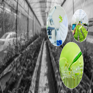 Plant Genomics Market