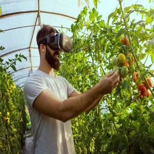 Indoor Farming Technology Market
