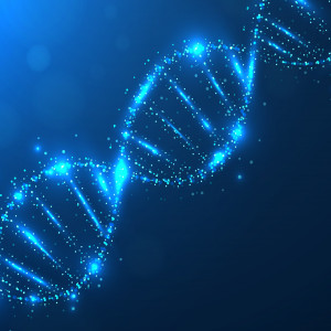 Ligase Market