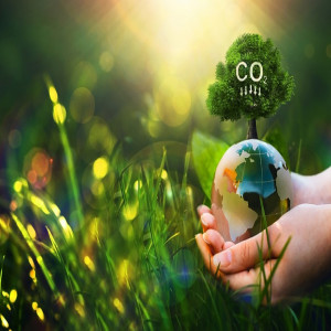 Carbon Dioxide Removal Market 