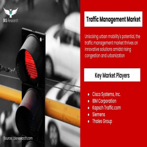 Unlocking Growth Opportunities in the Traffic Management Market 