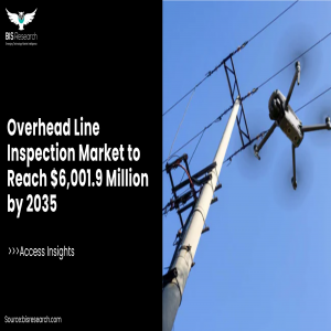Overhead Line Inspection Market