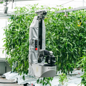 Japanese Harvesting Robot