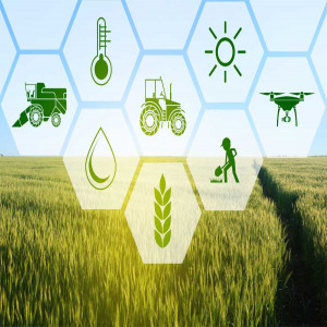 Agricultural Revolution