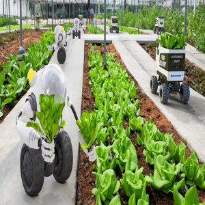 Smart Harvesting